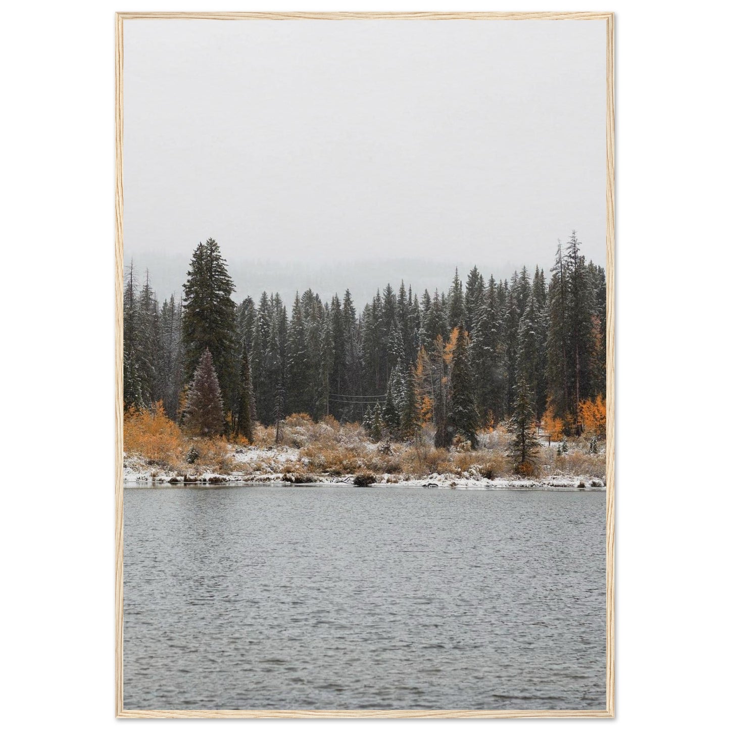 906d5c52-97d1-4bb8-9733-7c44f0e4a5c1