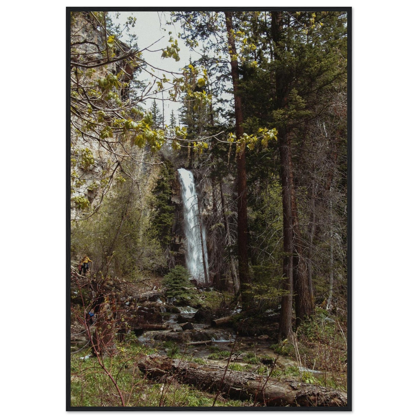 91741460-bb66-43a8-9ed2-714134dbccbe