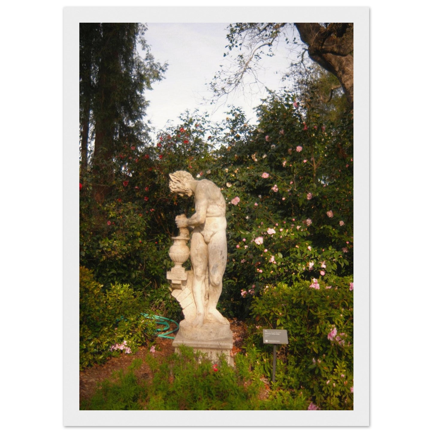 956c5cd6-c094-4f40-90f0-46636ebe181a