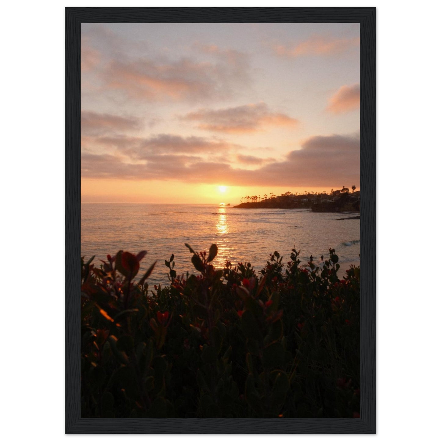 95a4b0b8-24ec-4114-be63-39c31fff1311