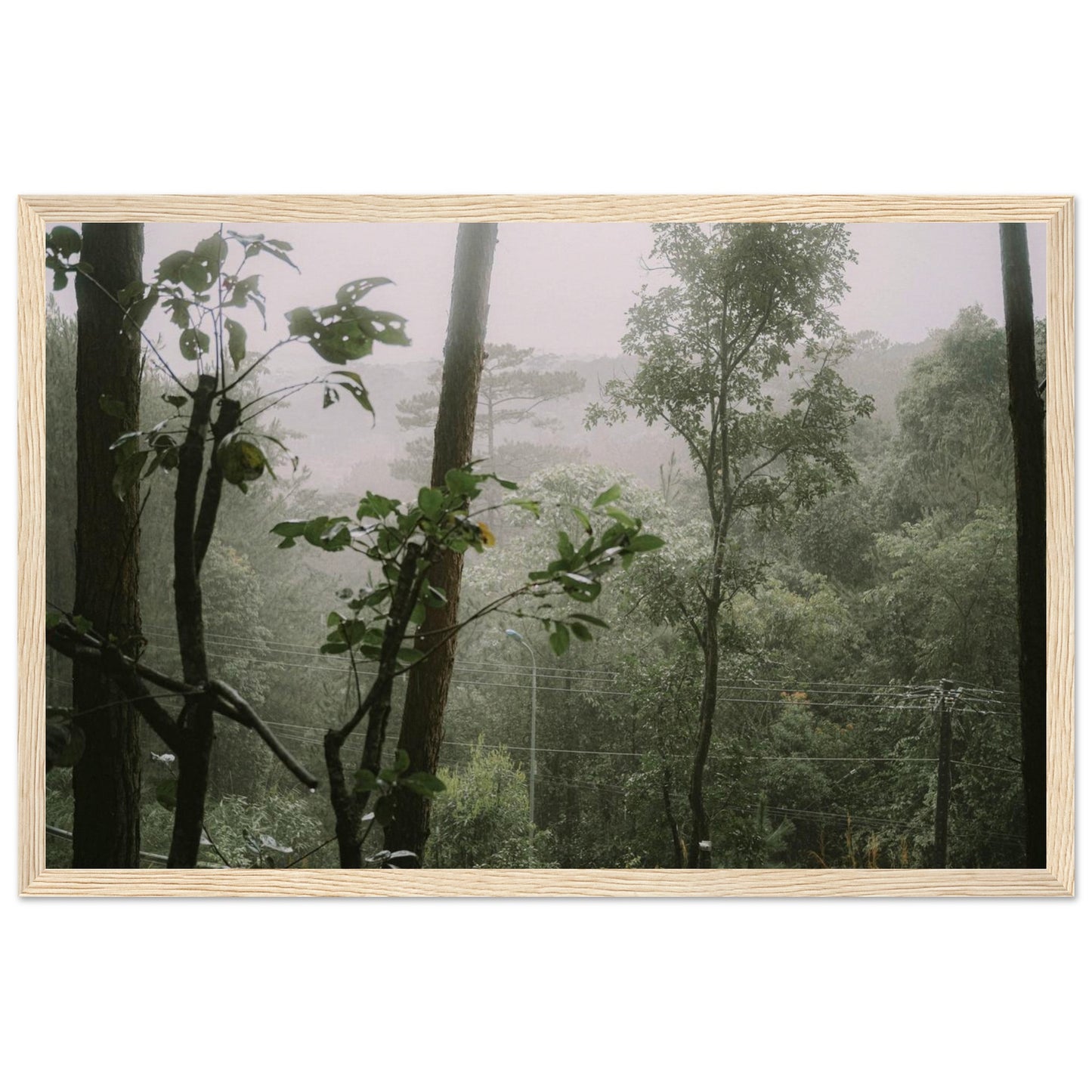 967a3776-46a4-4c9e-824d-08d659a0b168