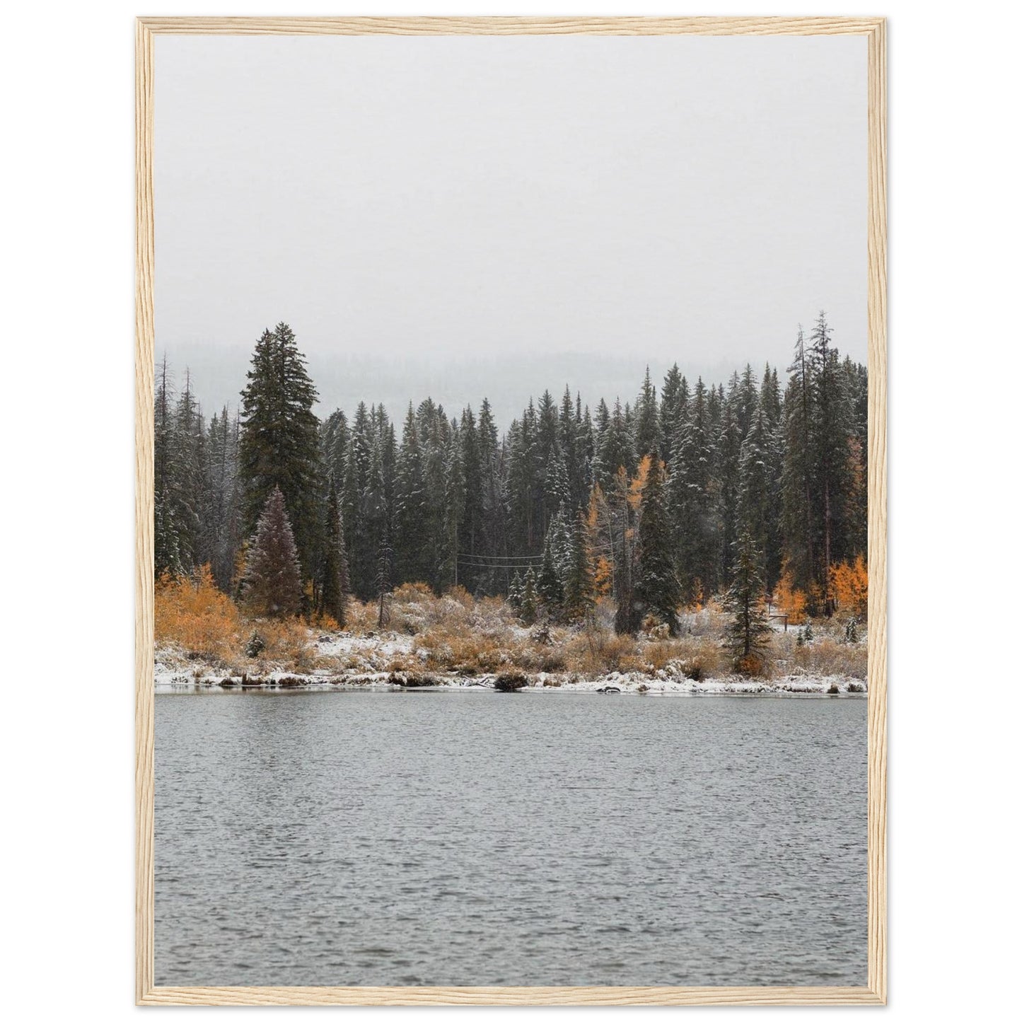 96dd1edd-1b36-4433-b944-d6907e5fdca6