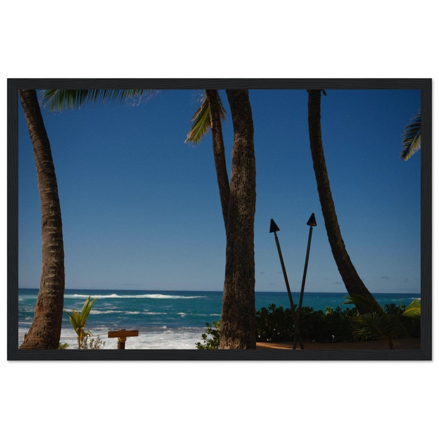 986082d1-f073-44c6-b797-3bad05074629