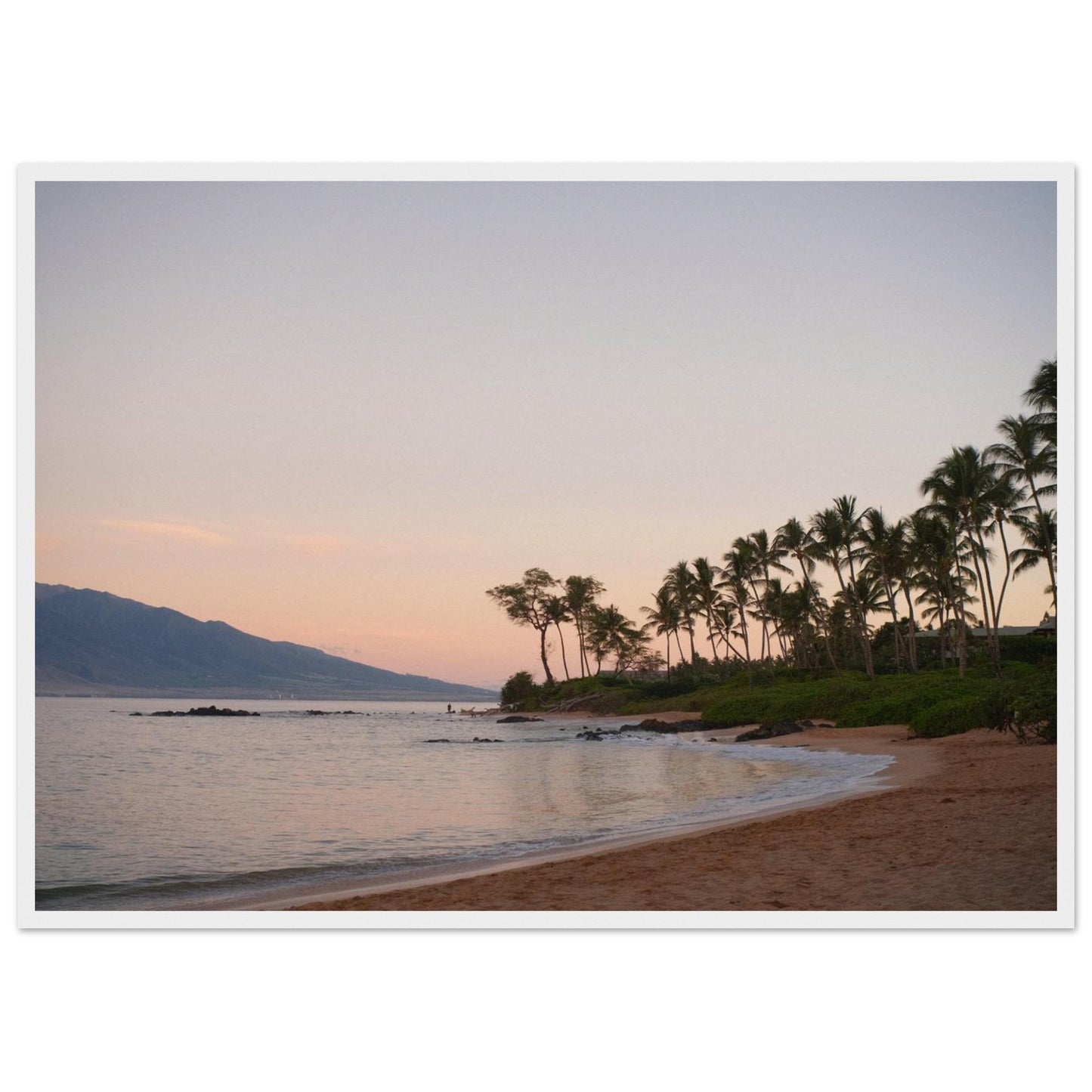 9952e1d0-c0fe-47ac-87c2-750cce4a0b39