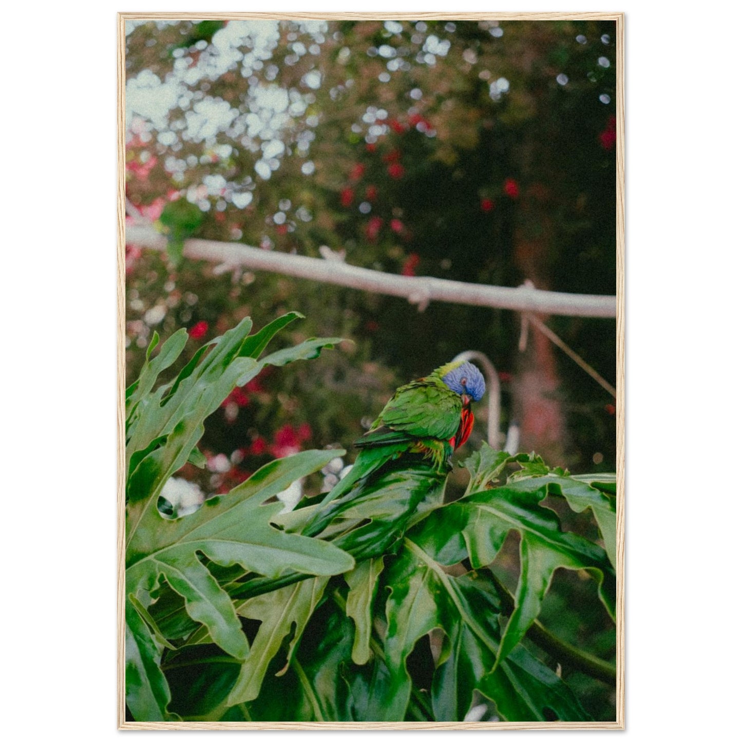 9a0b3548-267f-4248-8239-50e99e8e1ee0