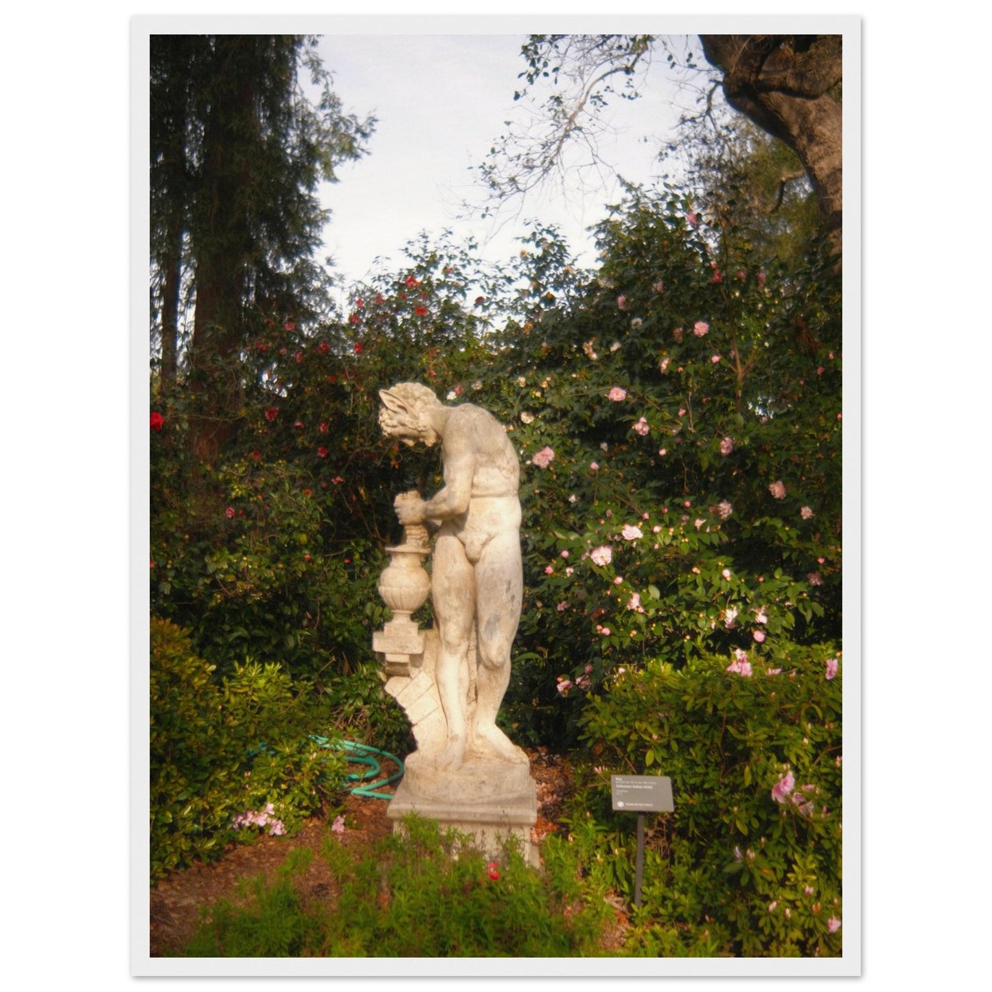 9aa90052-0292-4c6b-a3de-cd722567c207