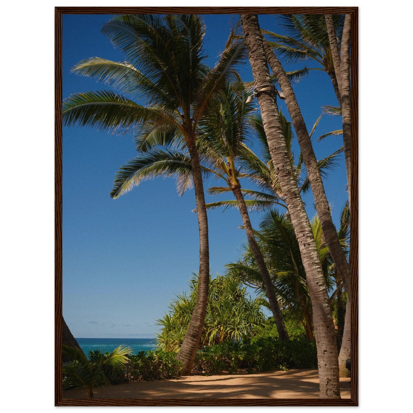 9afbb5c0-ce35-48c5-a5b1-f10799a7fd86