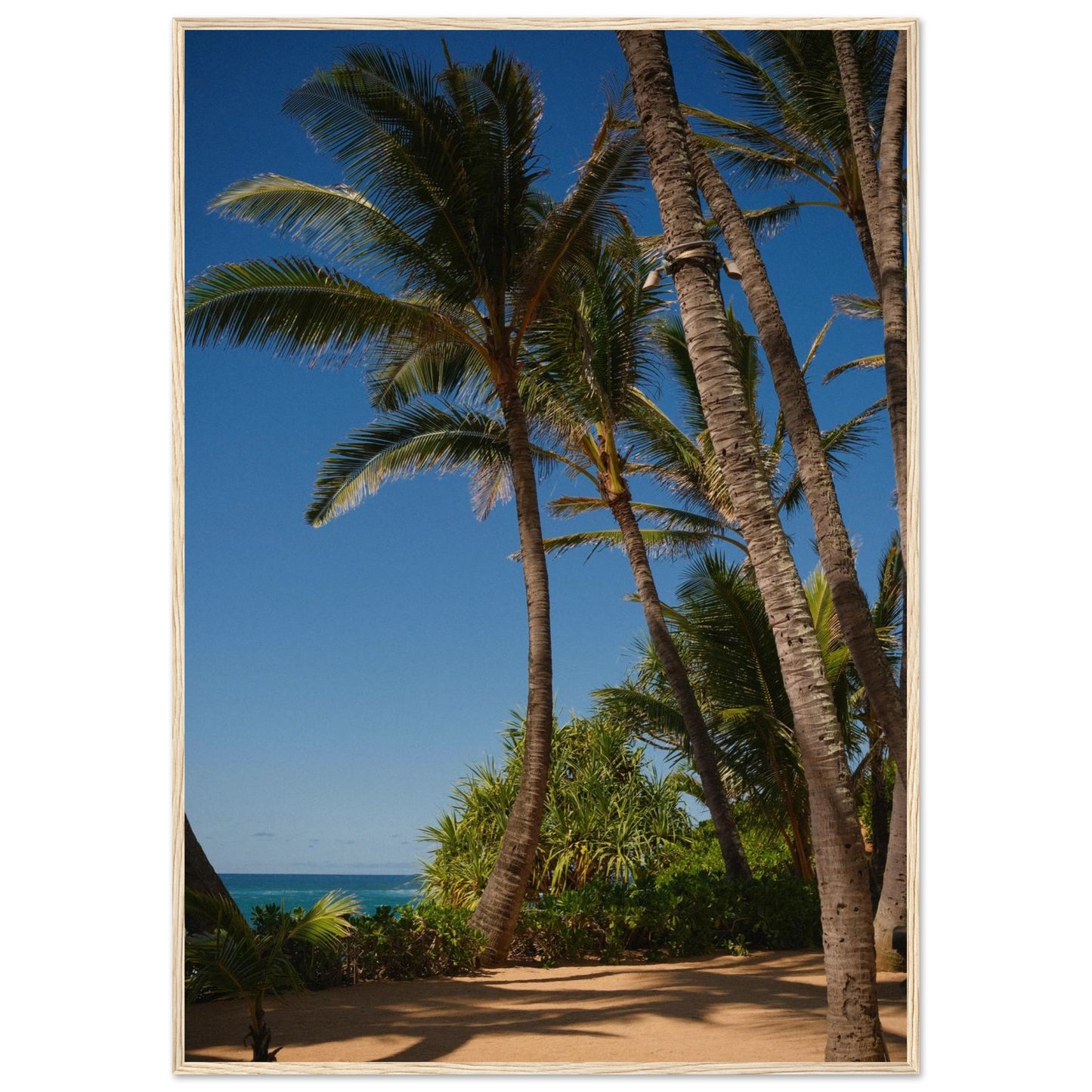 9c4e5ae2-0a46-471f-b3ed-9aa4e95251b4