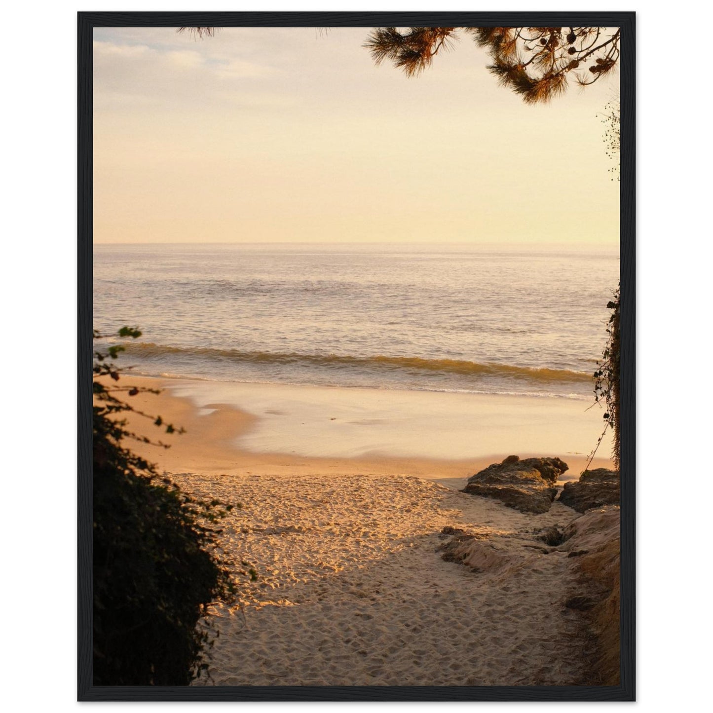 a03242d6-2ac3-4823-962d-b15c0ae4b08e