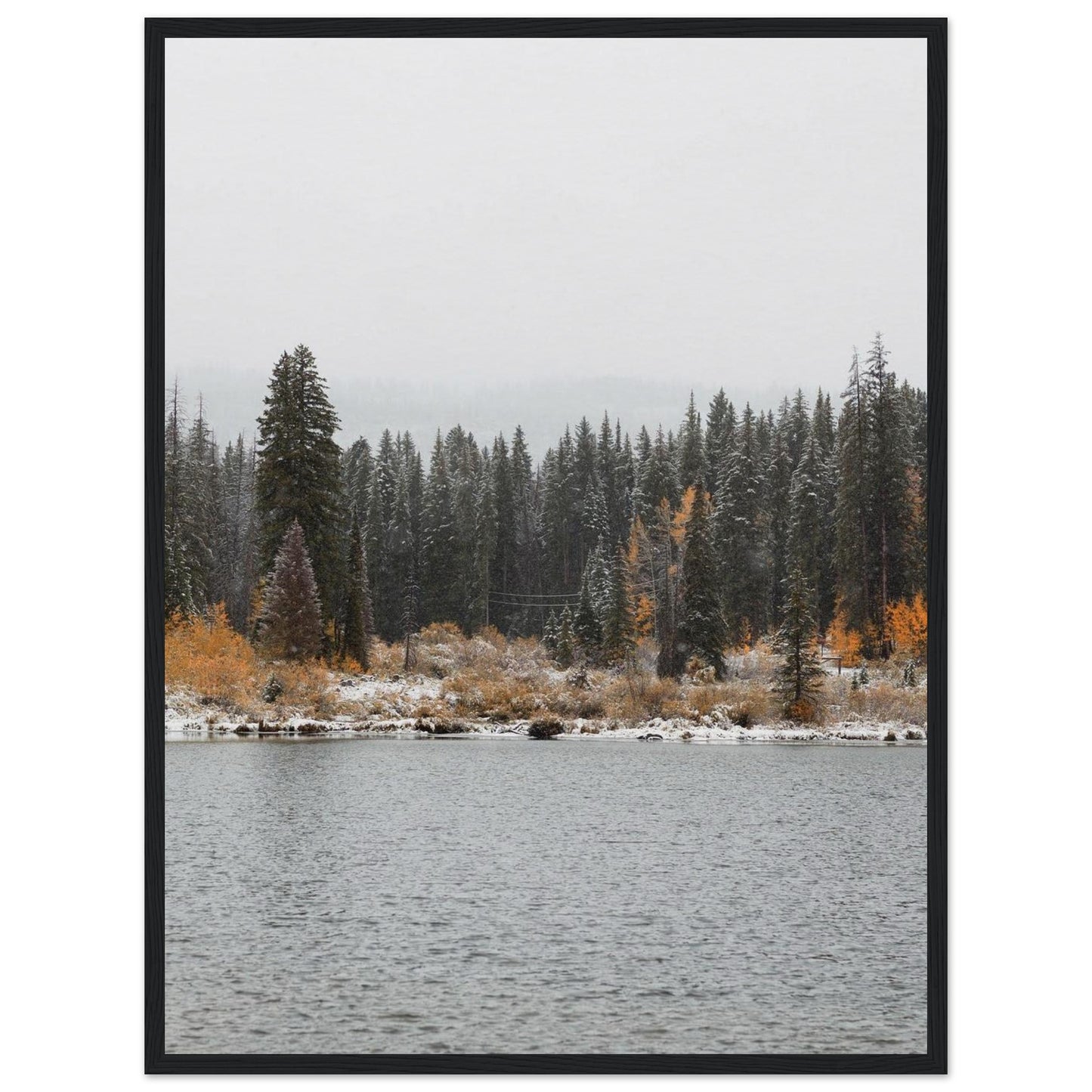 a11822a0-97ab-4151-8074-9d8057337865