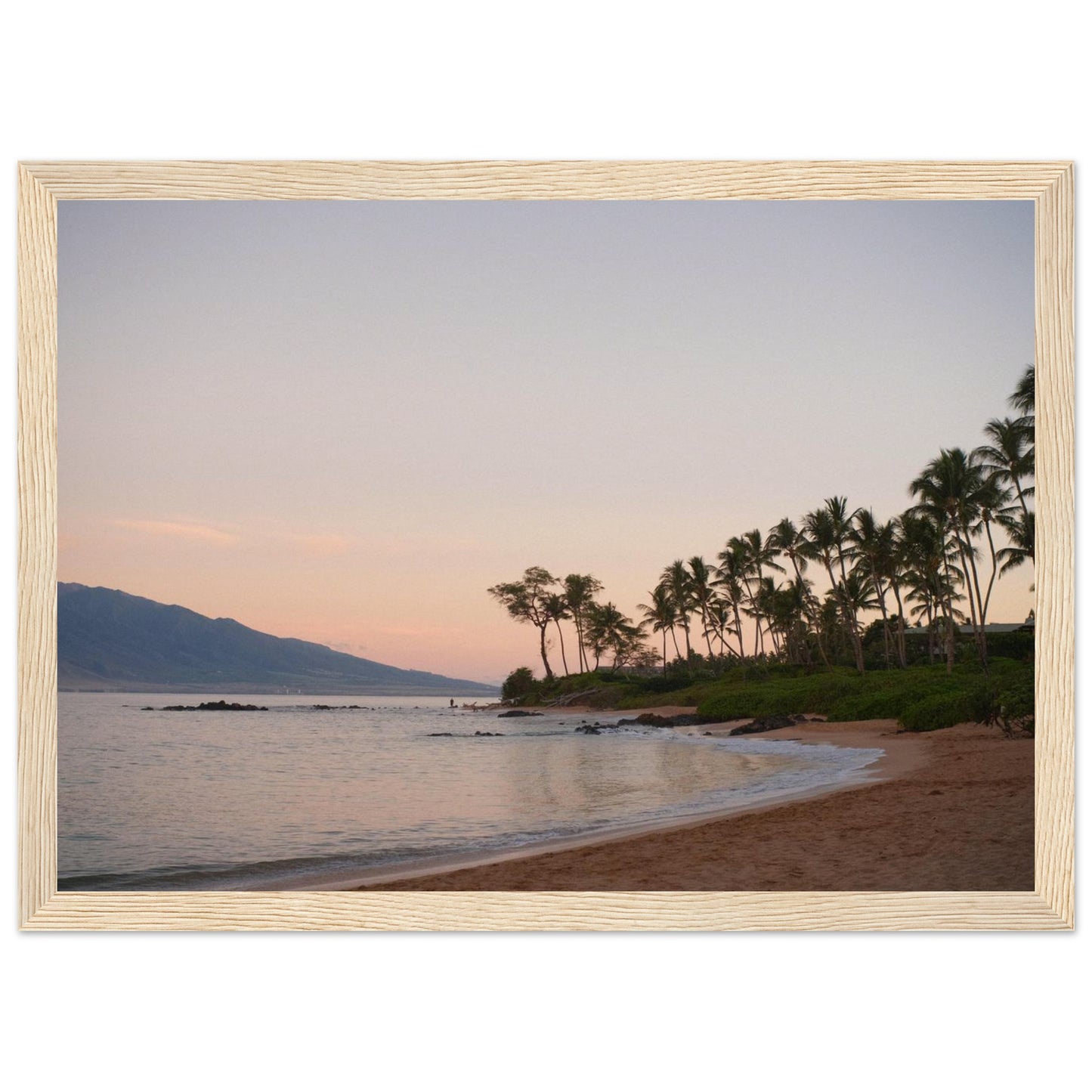 a221a2b0-51c6-4e52-abc3-b548386a5648