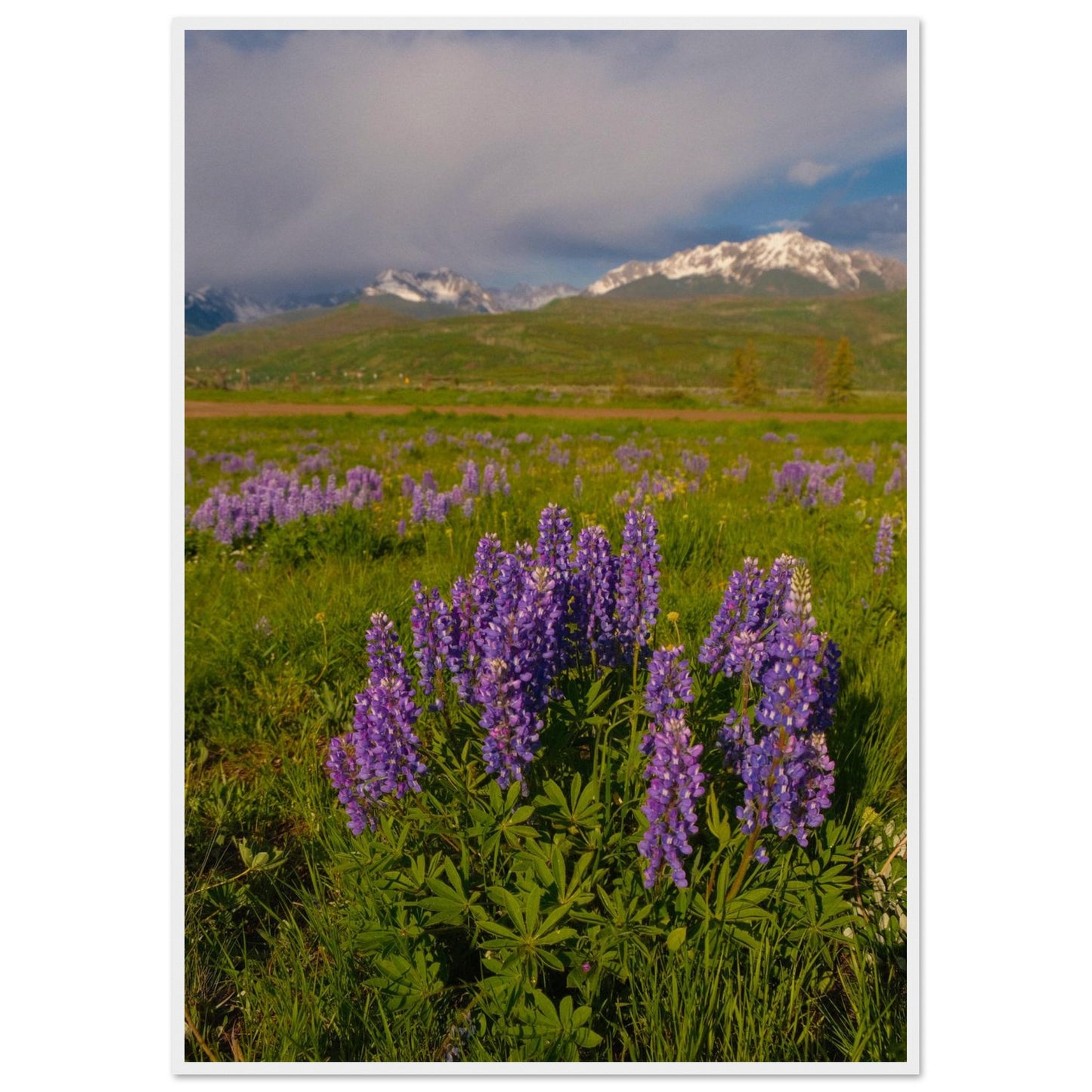 a26233e5-3679-4486-84c9-f2ca11cb4ef0