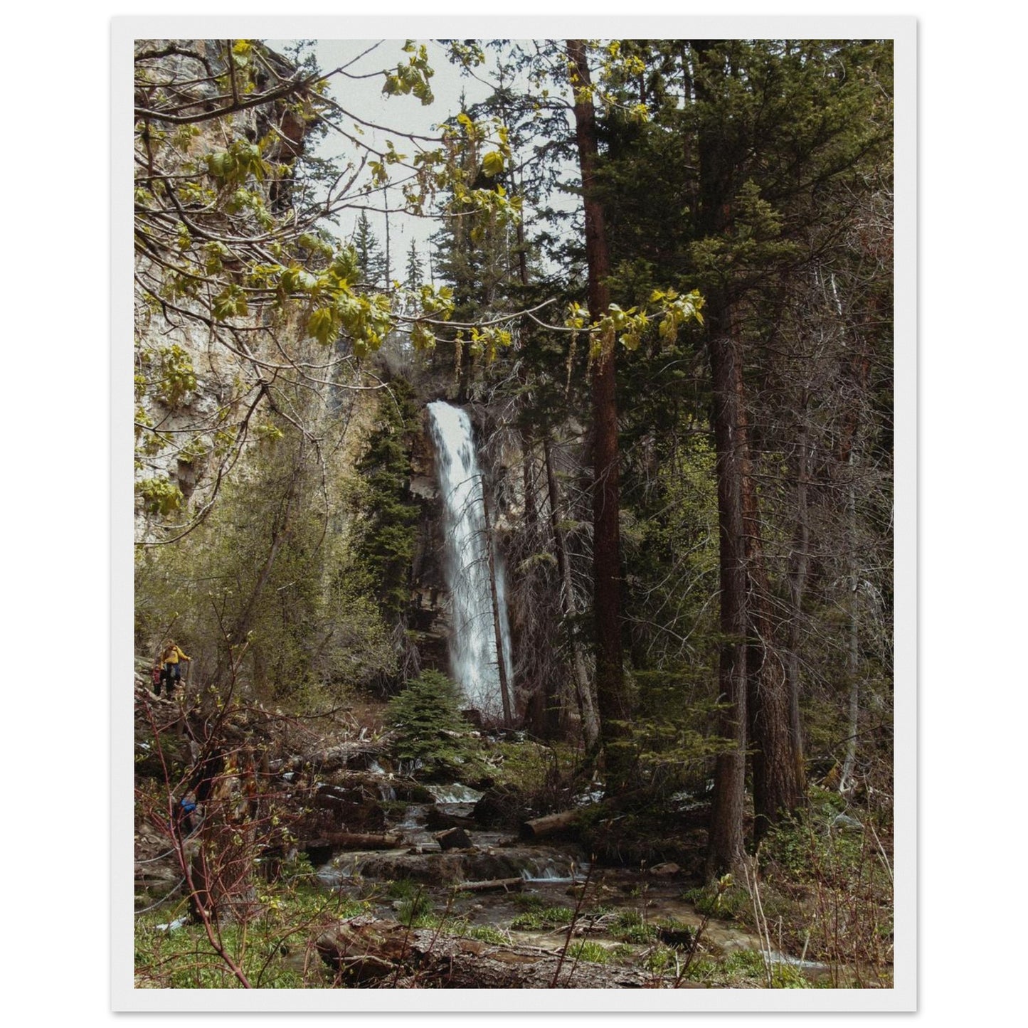 a397c09c-9a6e-4fd6-9e00-ac452075d5e9