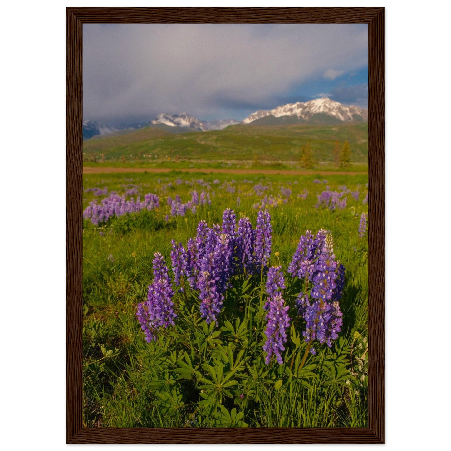 a46451e5-73d4-46ab-83b1-6335d6c578de