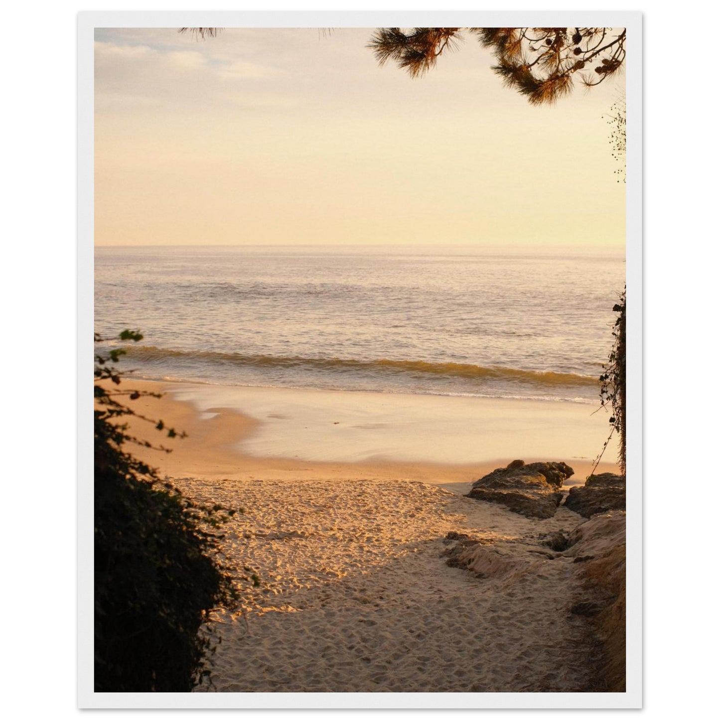 a4abd4b4-f8dc-4007-988f-3a7a7d84cb1f