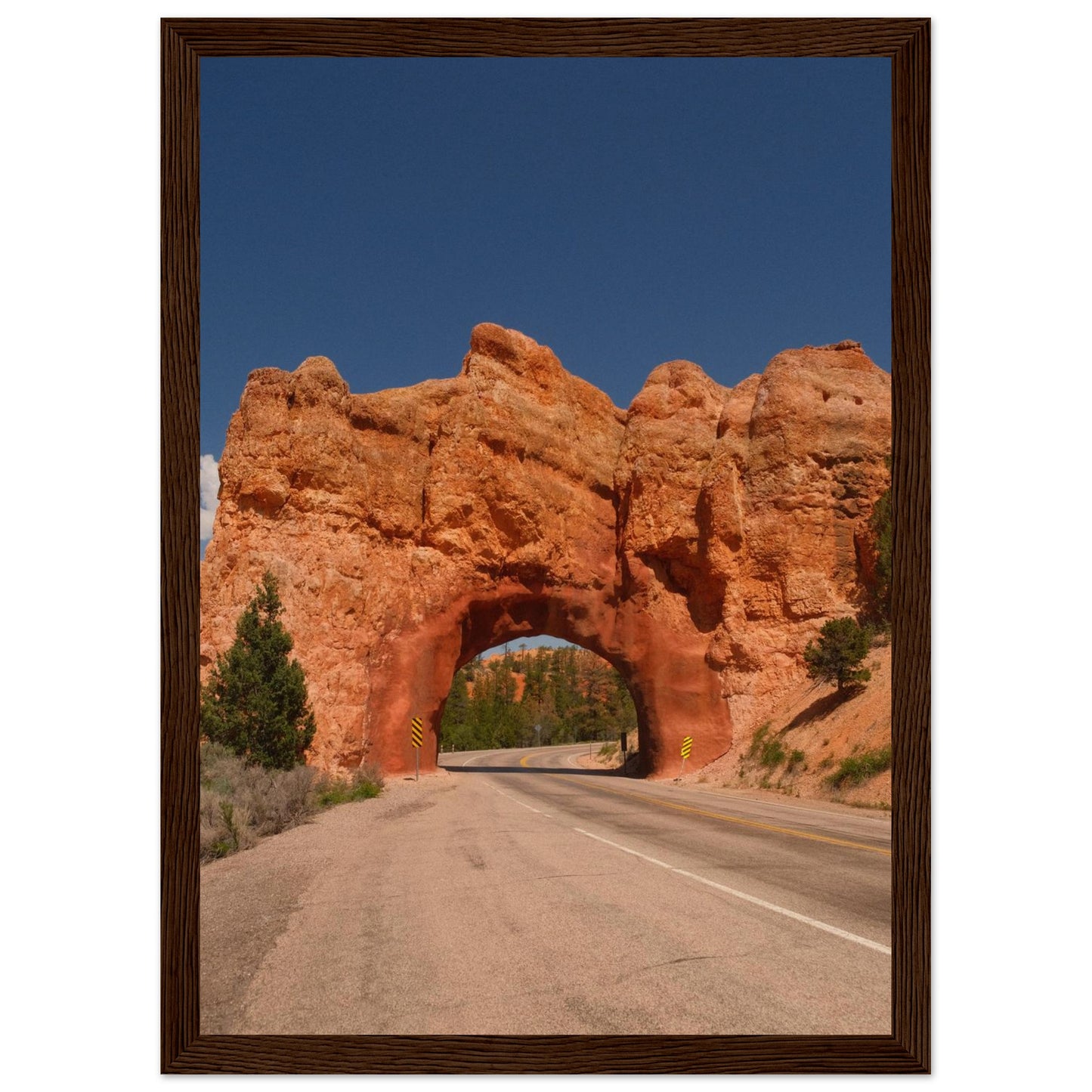 a85d20ee-7503-49d0-bb98-a34d2fa73757