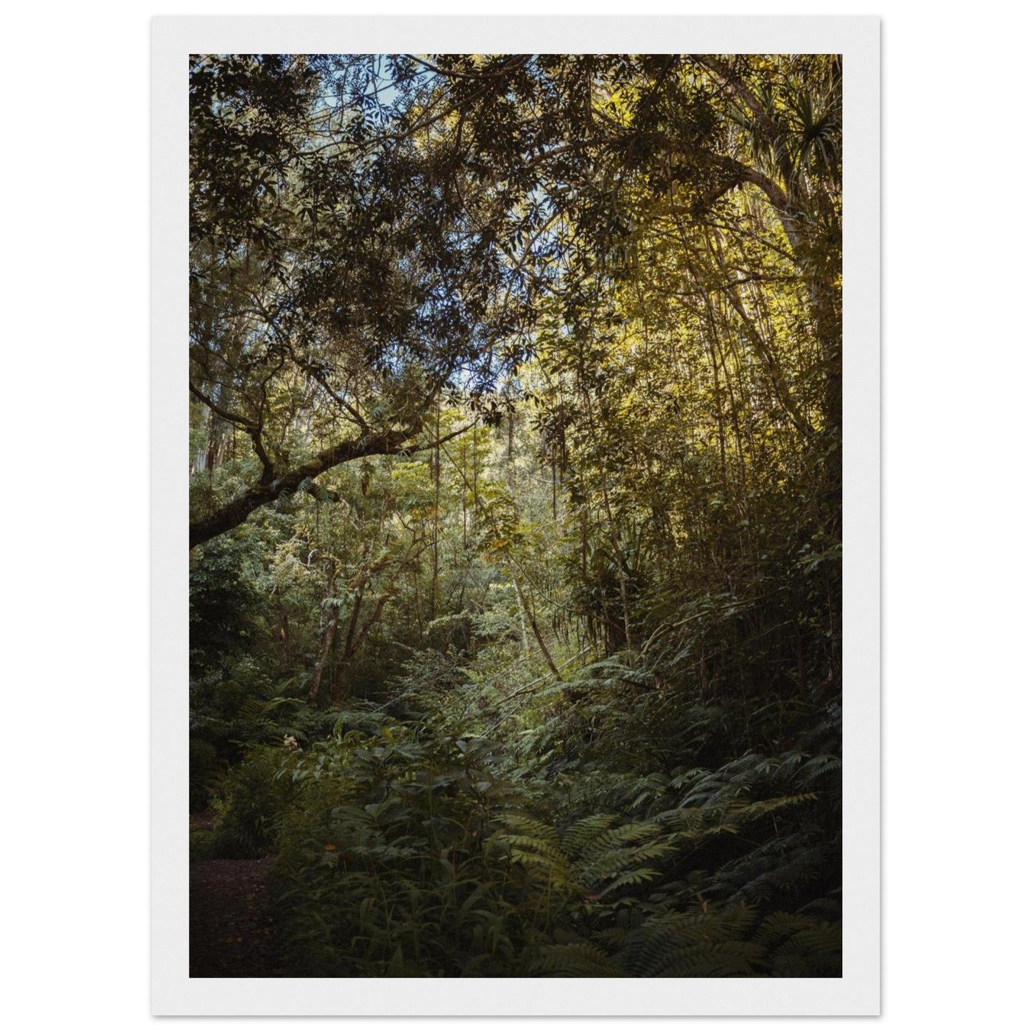 a8640bfb-5155-46cb-a0cd-dd4c39dd037d