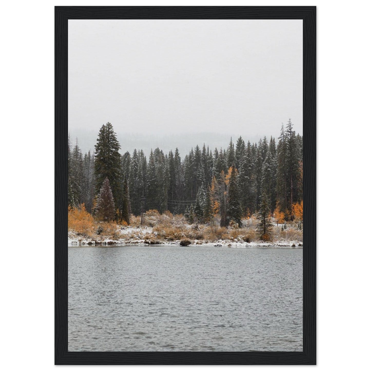 a9e3e619-78fc-4a31-a6dc-c9b0c55908c3