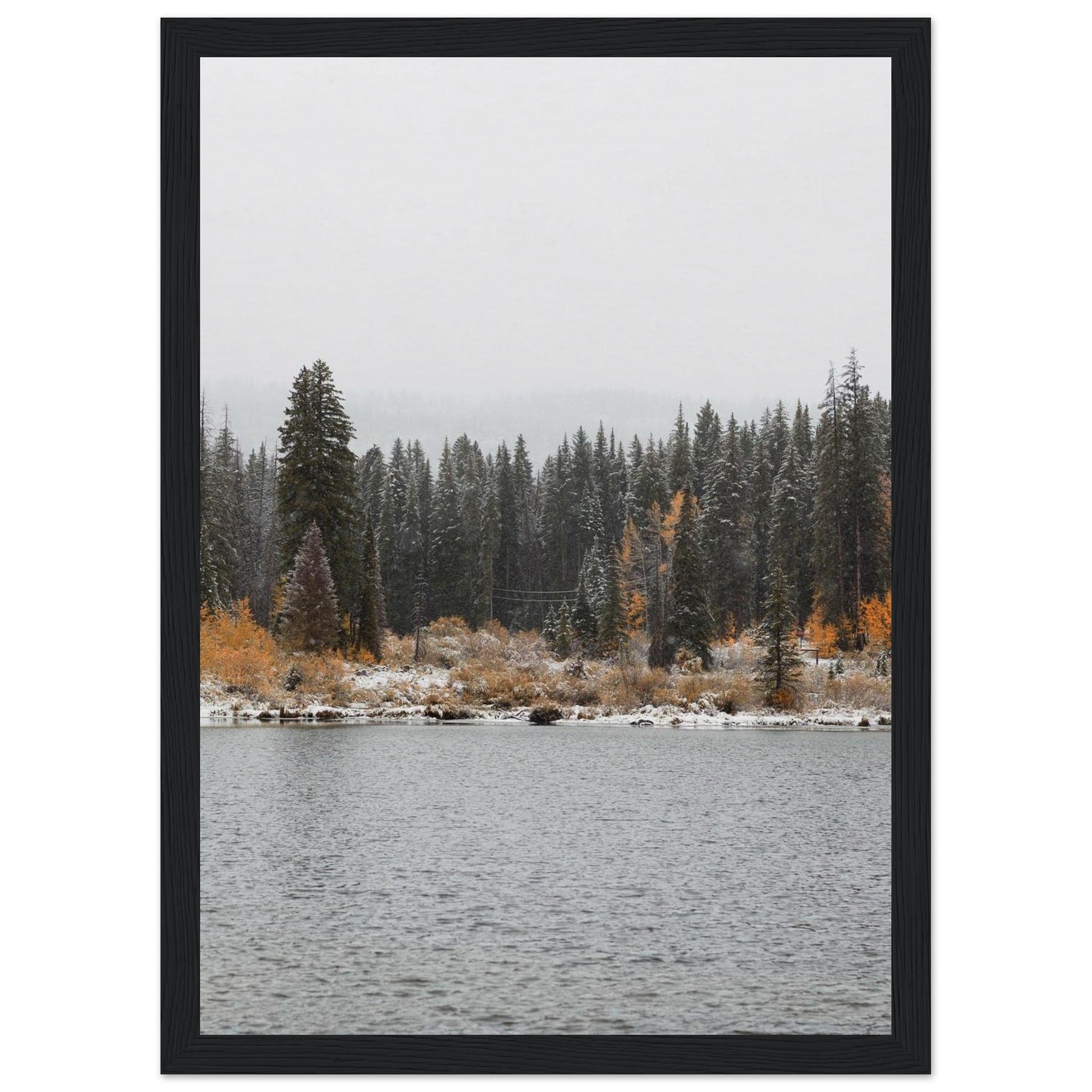 a9e3e619-78fc-4a31-a6dc-c9b0c55908c3