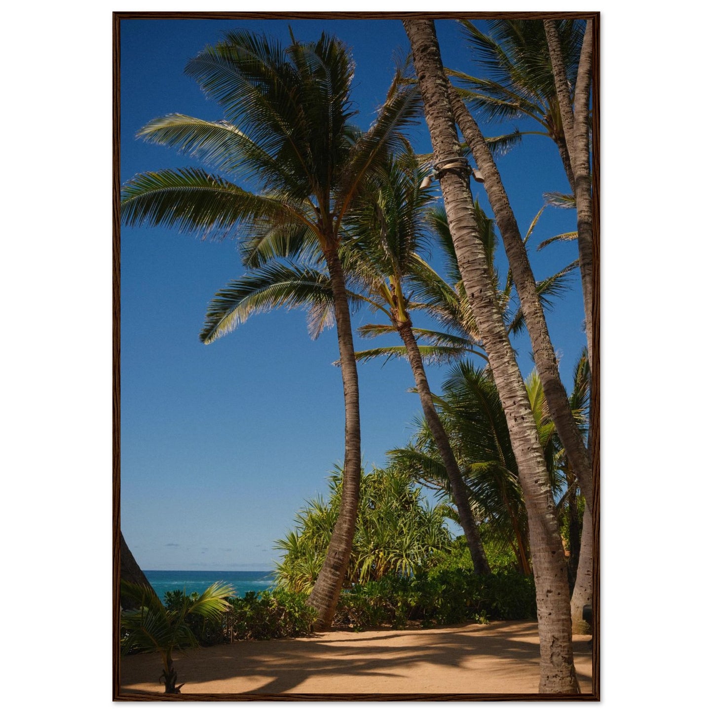 ad97fbd1-78cd-48e8-9053-8faef0fc4811