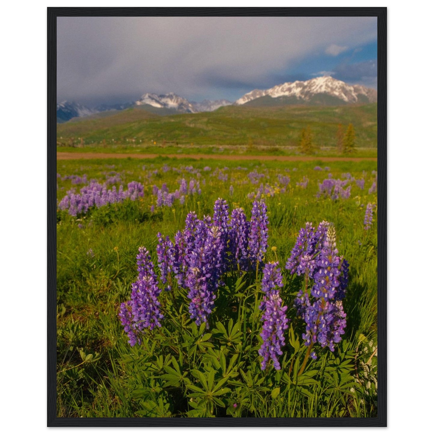 adced794-493a-4ffd-a5c5-18fc8819eedd