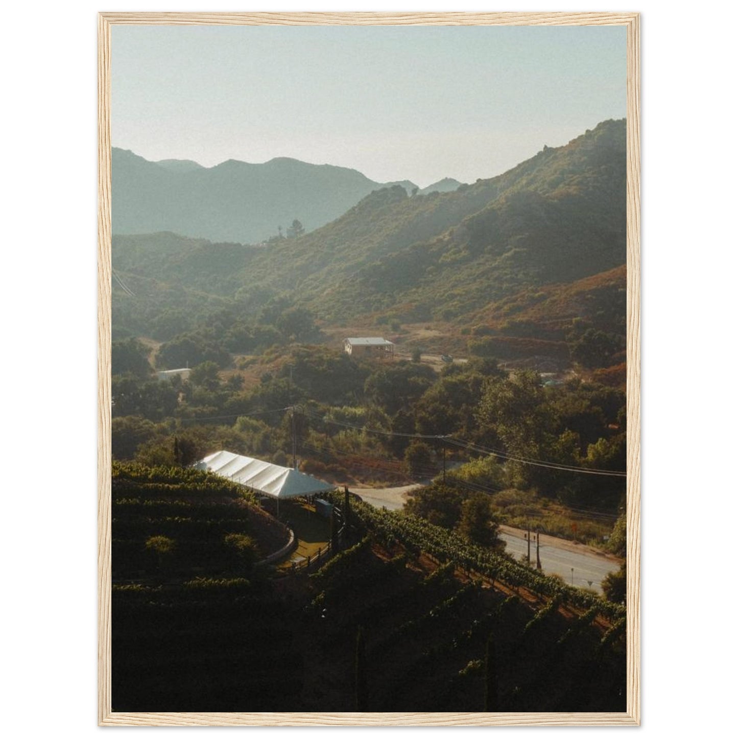 ae48296f-2d27-4a63-822d-ad8f55679836