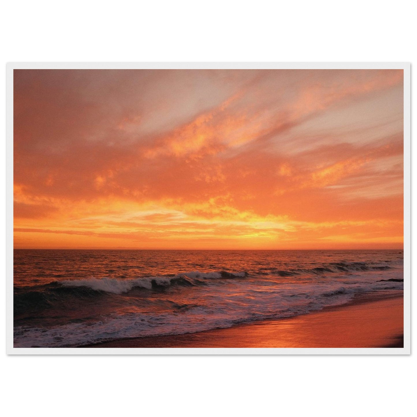 aeddfc8f-2262-4377-a4c8-c623c8aff732