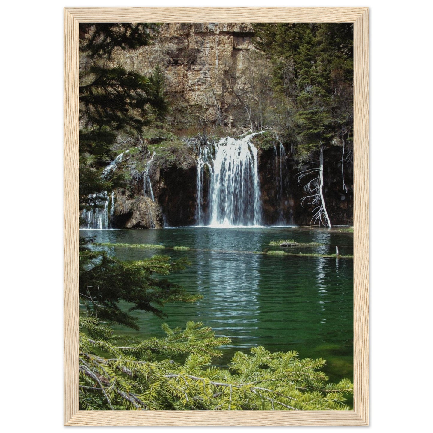 b0ae26e3-f4c5-41d3-9618-6ad81cd6d1d0