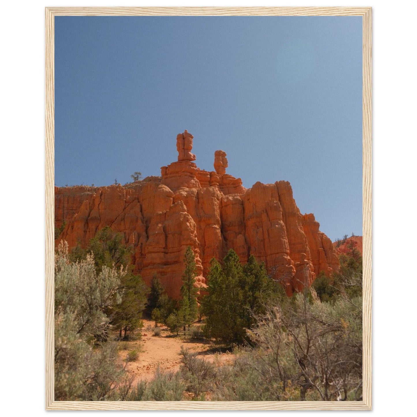 b191ec67-d59b-49e6-9d6f-4fbbb529af53