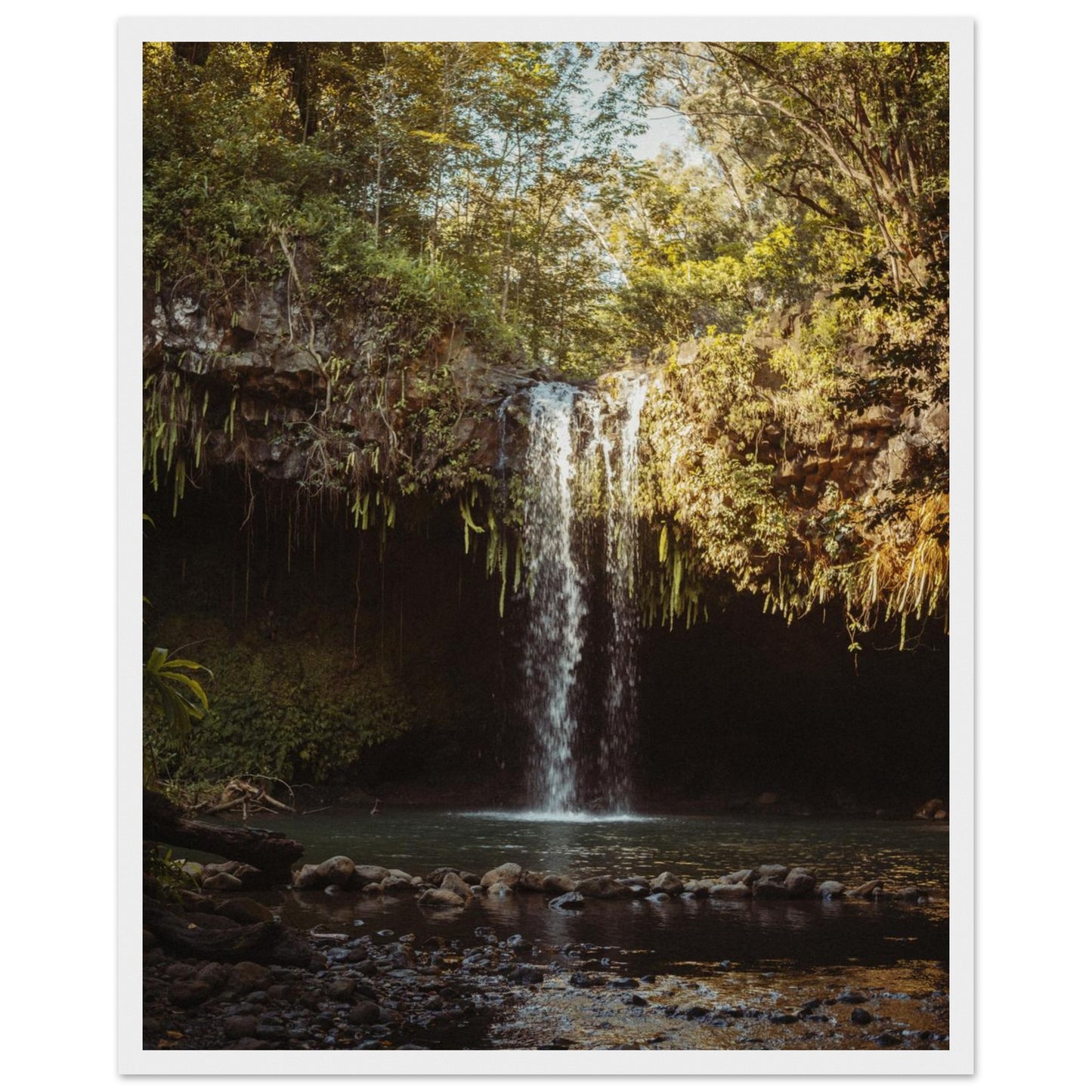 b496014d-7895-4a6c-86fd-7aa4853d8b2b