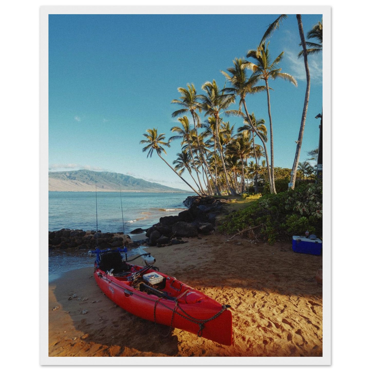 b7c974a7-94ab-4cb2-b5ff-cff89b26992d