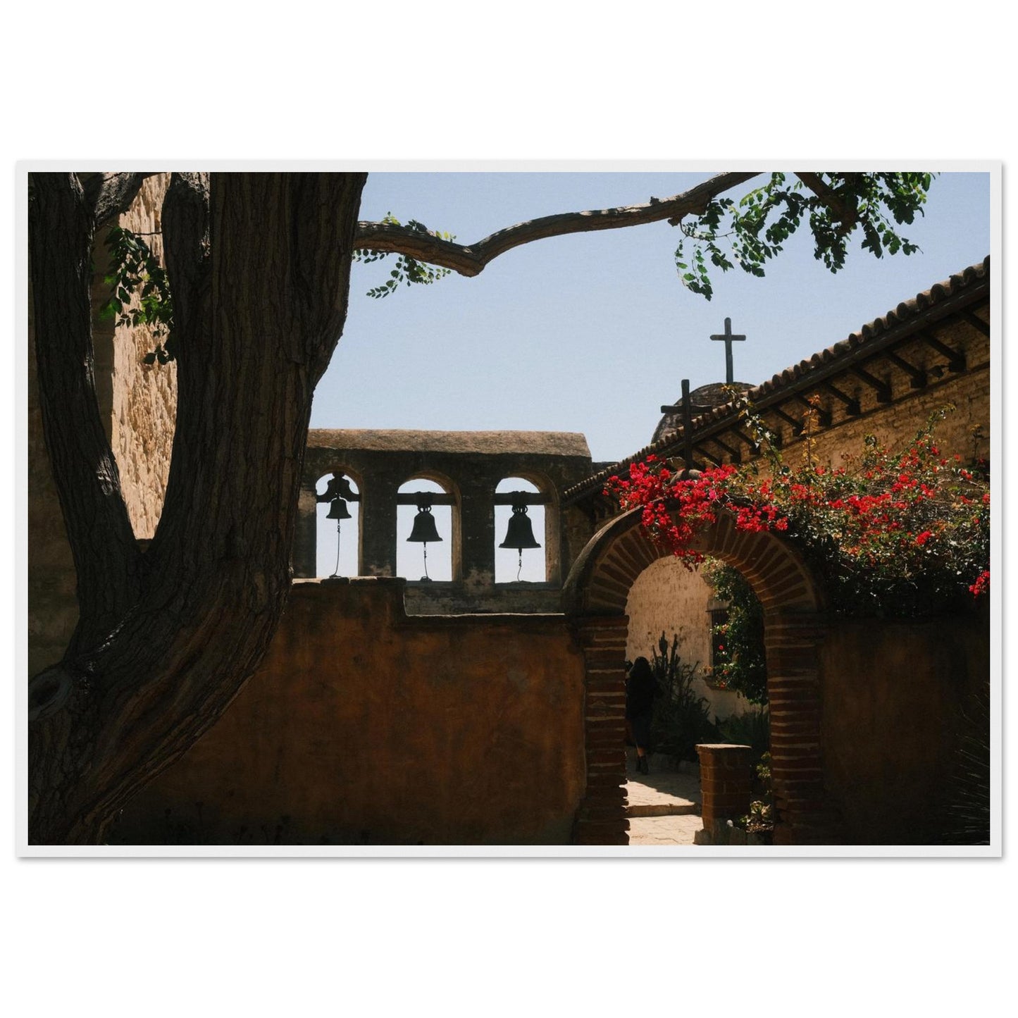 b88a9f55-617b-4ba8-8e78-0bdf6f673e0f