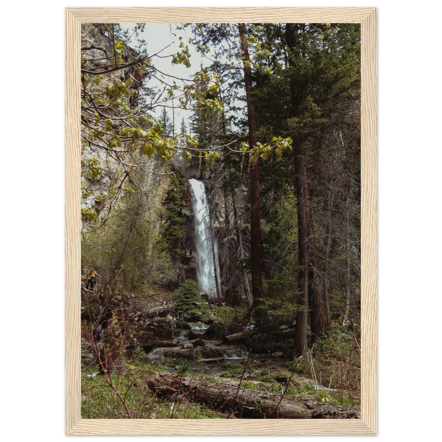 b9106c1e-d0ad-40a4-890e-8224e9a8261e