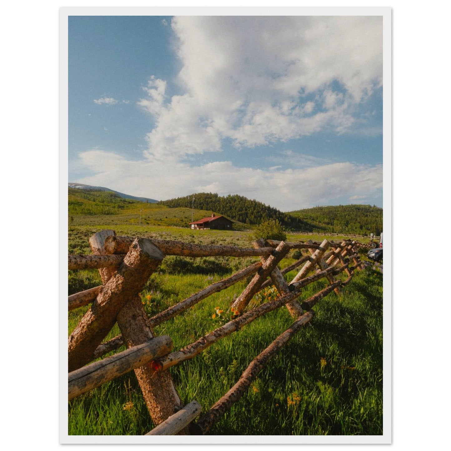 b9f2f5e0-6654-4328-bf2f-91804ad15334