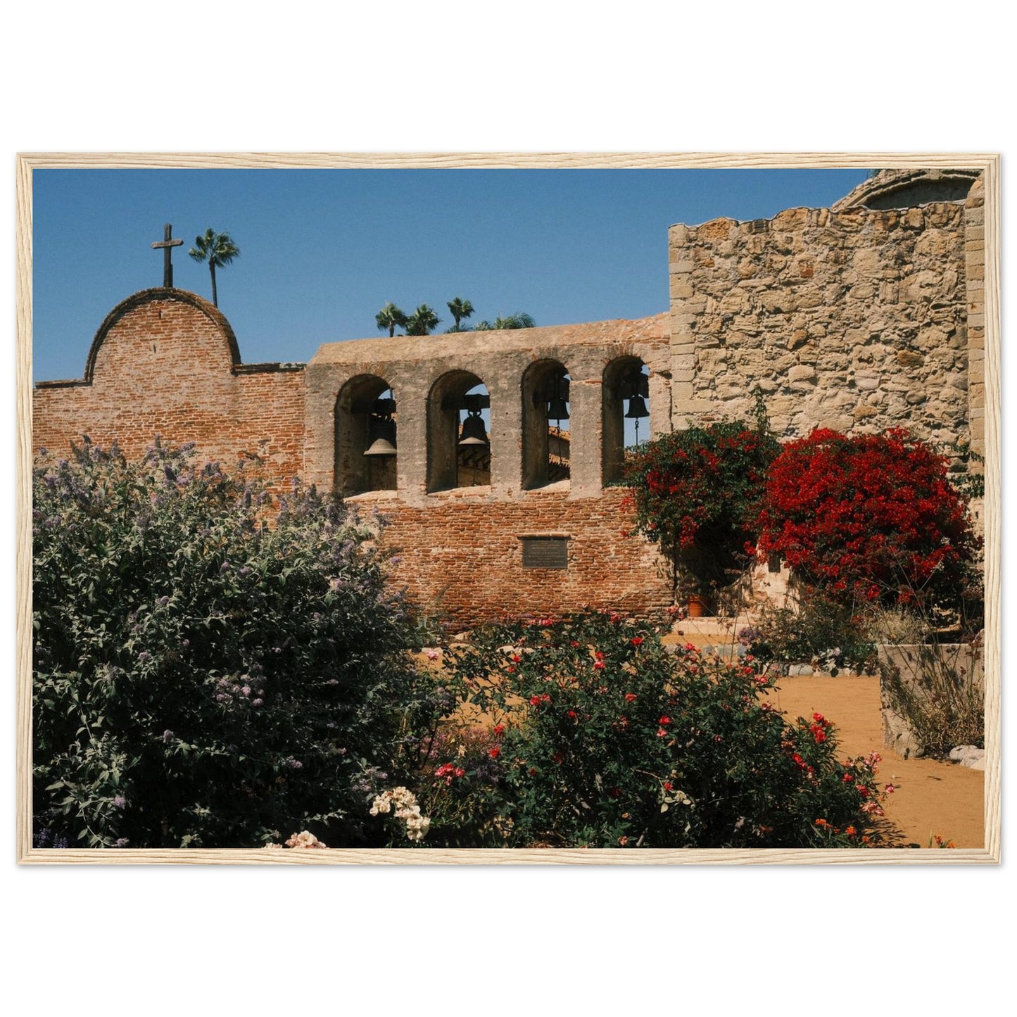 ba379464-1d14-4881-b5fc-bbc52e9c3a11