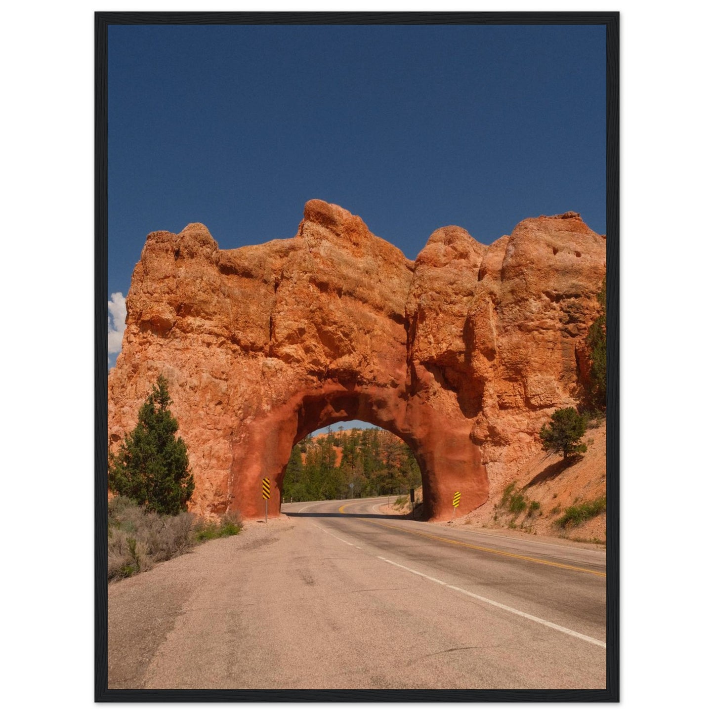 bb4ba30b-5378-41ee-99ad-2a98f8b6620d