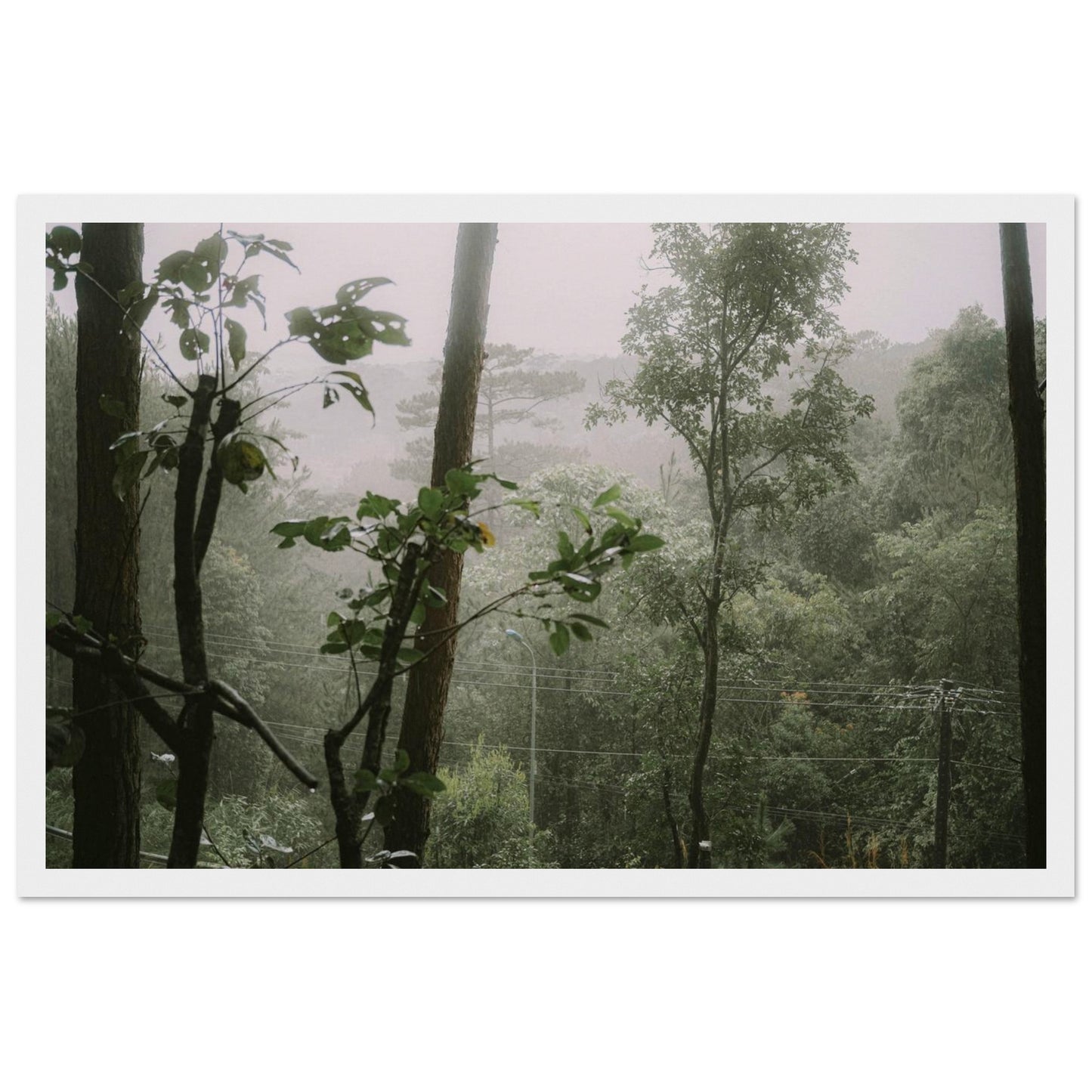 bbaf45ac-358c-440e-b1e7-f2cdee182c04