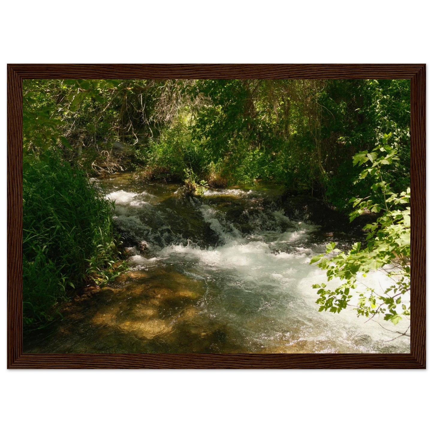 bce9a9a8-70d3-472b-ad89-3624dd49d85e