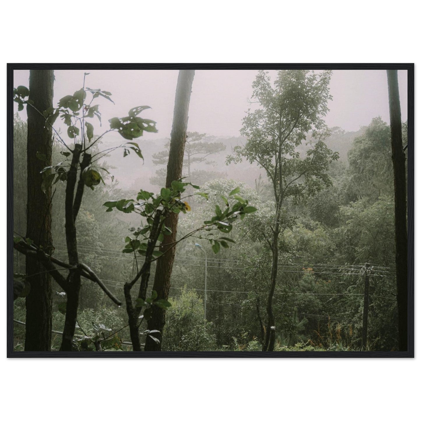 c19e5988-b120-4371-be30-ab66af490676