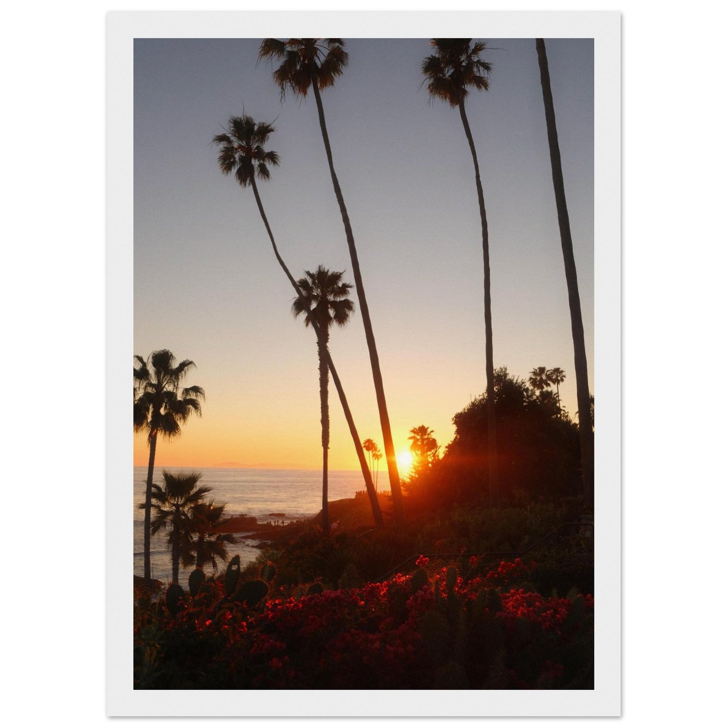 c4818db9-84dc-4cb8-80a4-1331c1b831b8