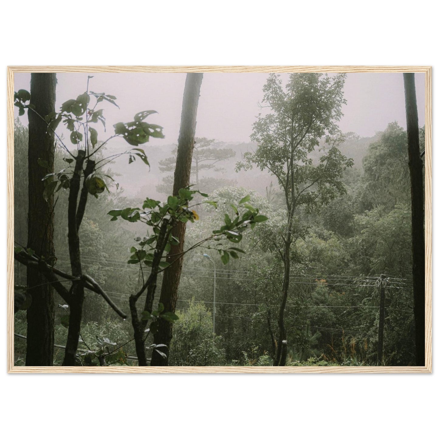 c4b0baae-5ccf-4d5d-a982-efa5733cd2d6