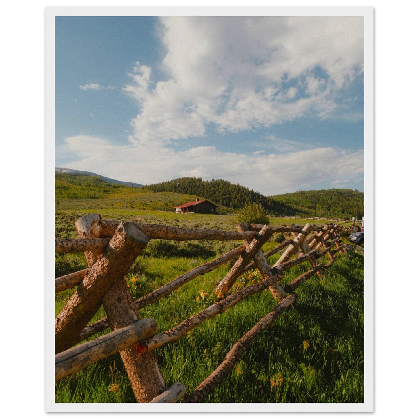 c543d2a0-e24d-43d4-adff-0400cd4cbb5f