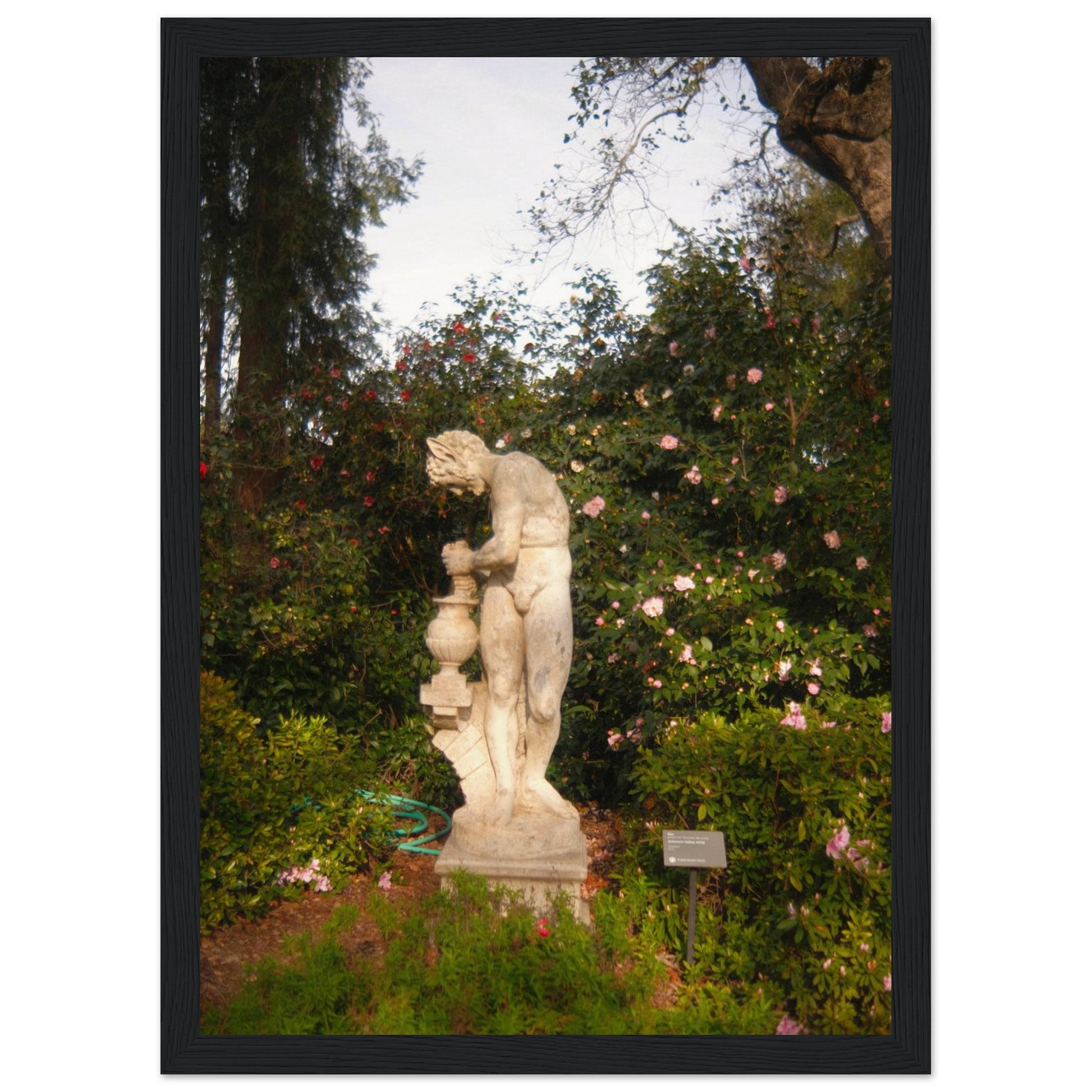 c5cd7152-d2db-4de4-be6e-7a3cccf39aac