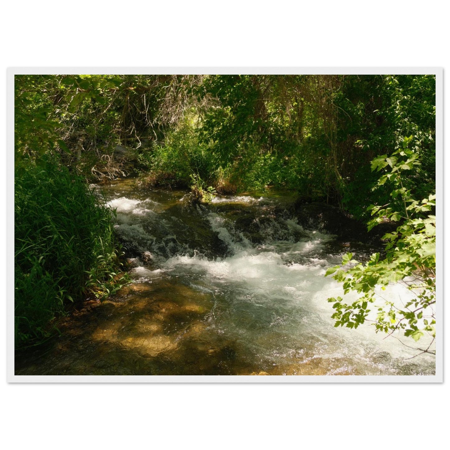 c5d13de4-cfe5-4bce-81e7-6921f2b4337f