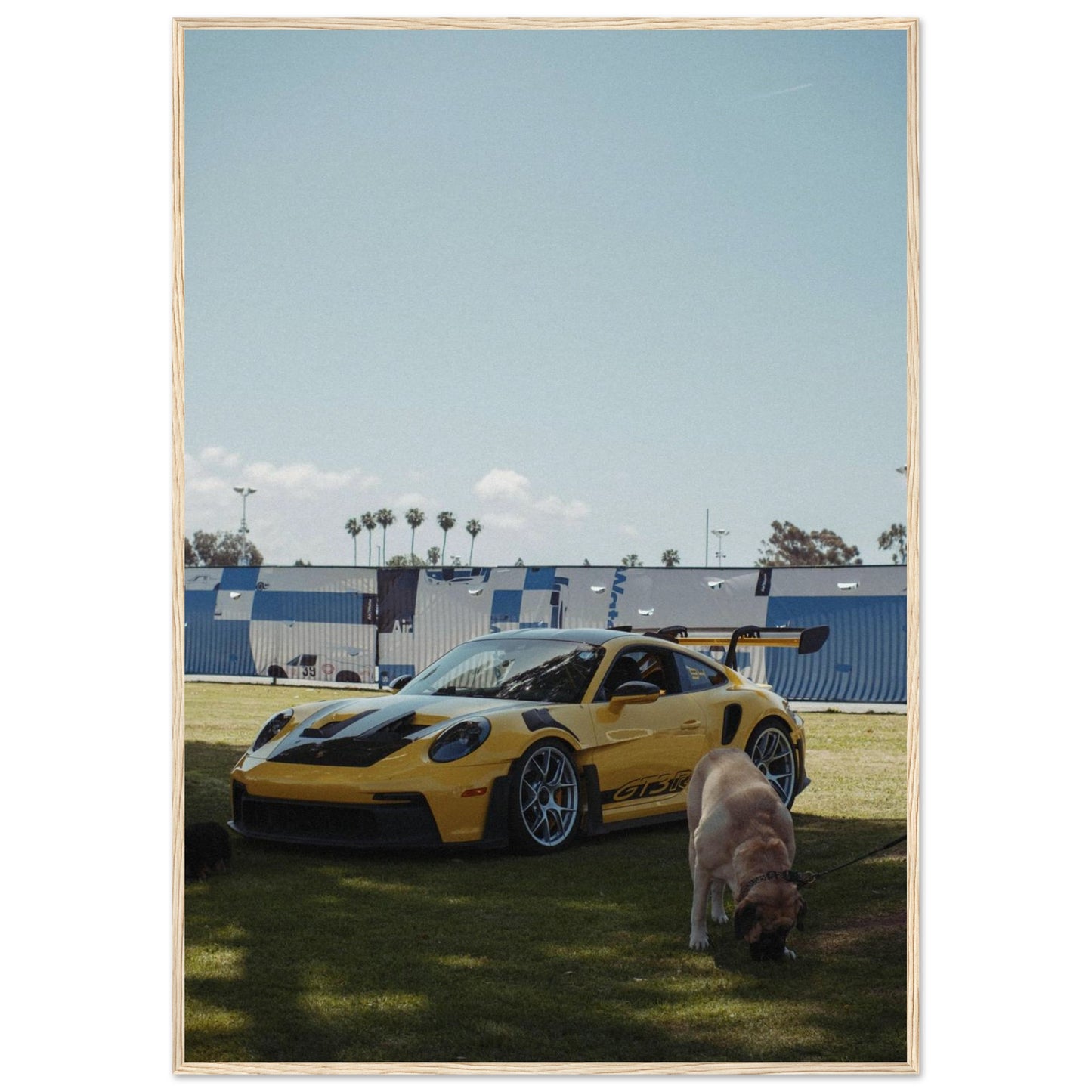 c6f26222-7024-4143-af68-d6d8df423125