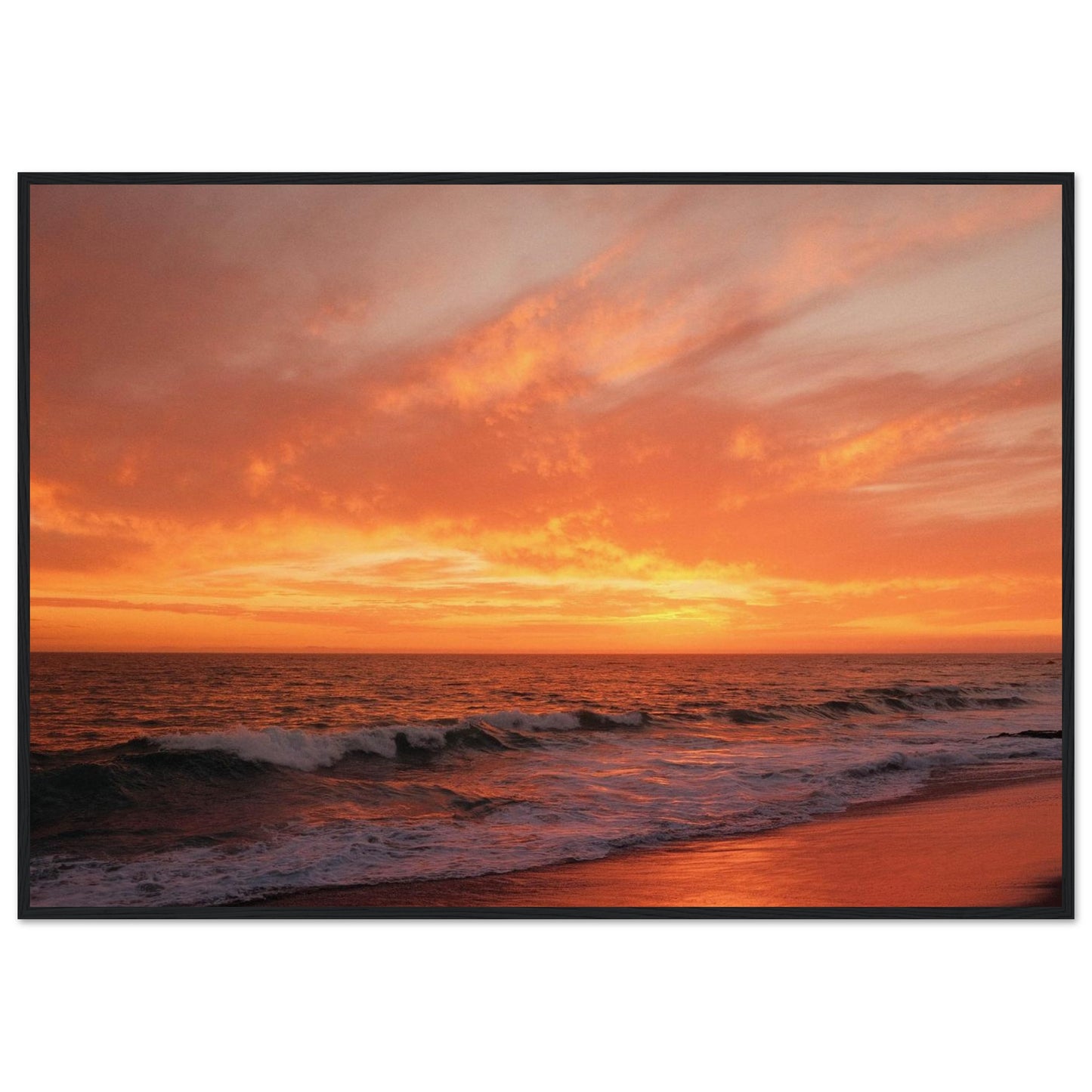 c72e5d4d-1e3f-4cd4-94e2-44d39204351e