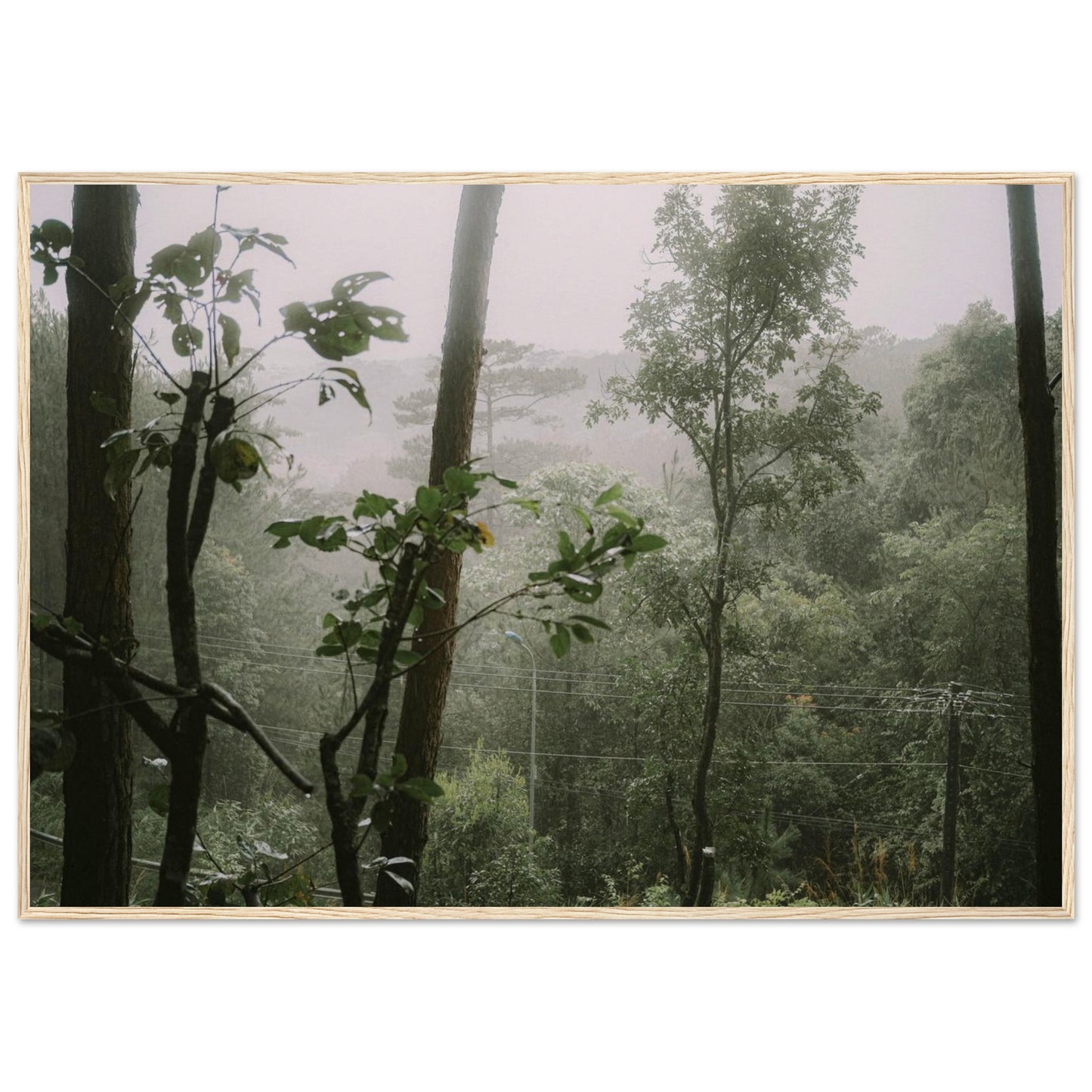 c7a2e5b3-7d48-4549-acfe-b43a2188e70a