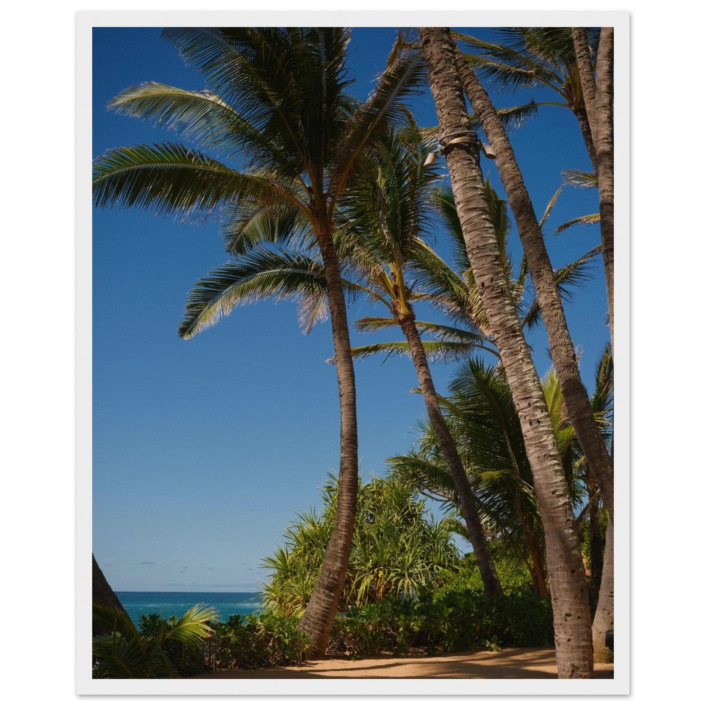 c8fdd519-2949-4e5c-afd4-6cdcfa6b37d8