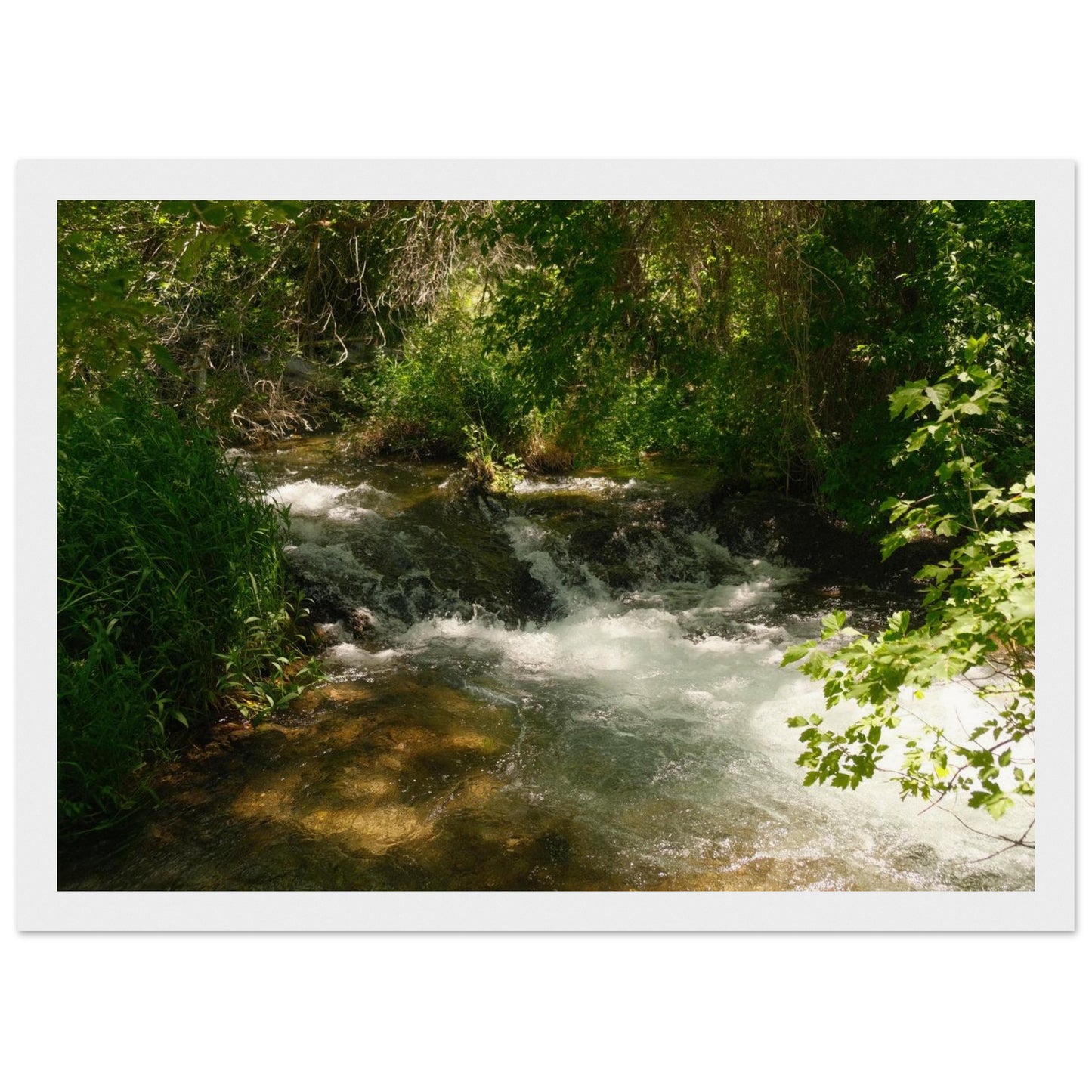 c97c08bd-c75c-455f-a4eb-89b0844272eb