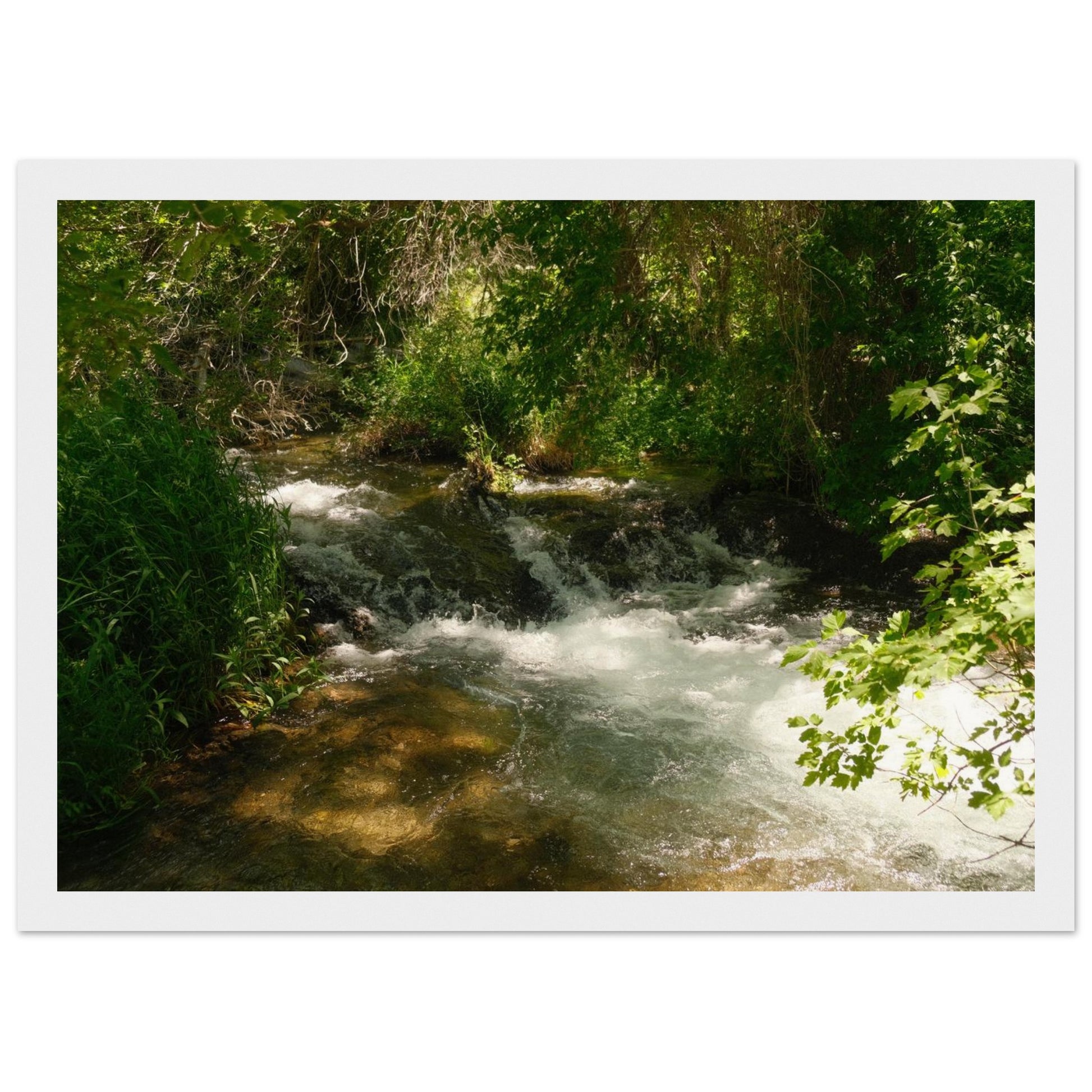 c97c08bd-c75c-455f-a4eb-89b0844272eb